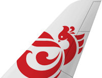 Логотип Руслайн