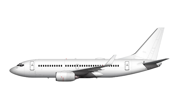 Самолет Boeing 737-700 (винглеты)